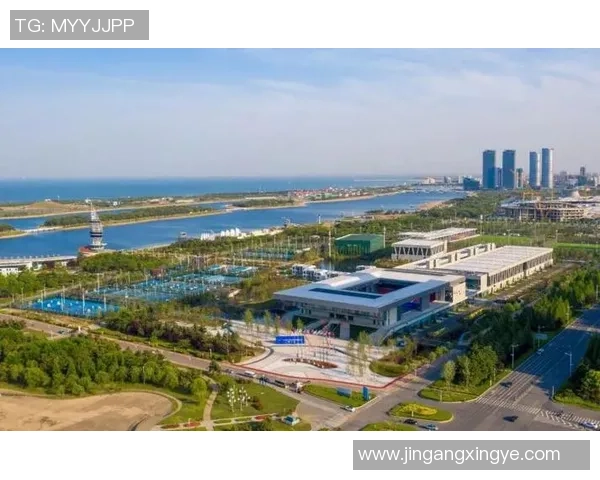 西安网球队的崛起与奋斗历程全景回顾与展望